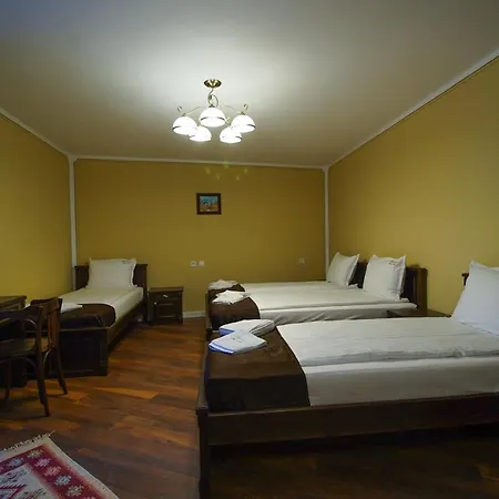 Pulpudeva Family 普罗夫迪夫