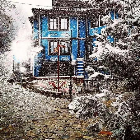 Pulpudeva Family 3* 普罗夫迪夫