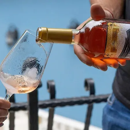 Pulpudeva Family 酒店 普罗夫迪夫