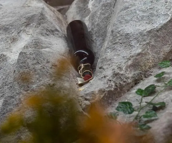 Pulpudeva Family Plovdiv